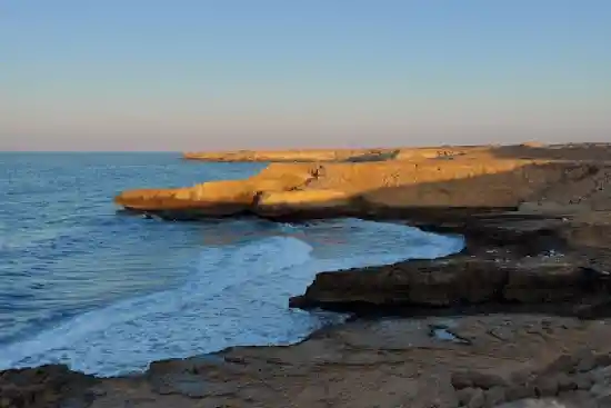 ساحل کله مرکب