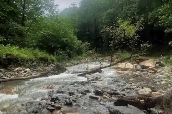 آوینه روبار