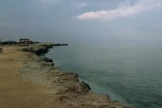 ساحل صخره ای