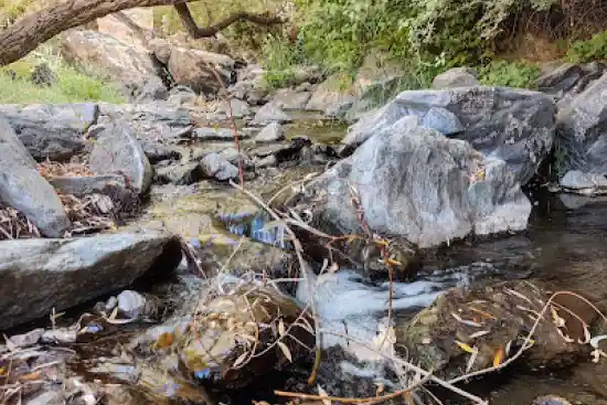 سراب بردینه