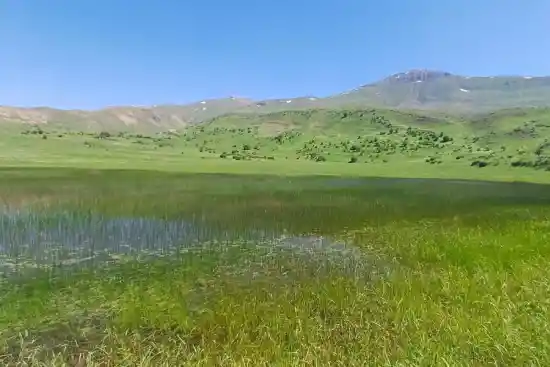 دریاچه اسب دیل