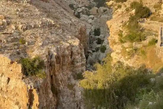 تنگه بیدخون