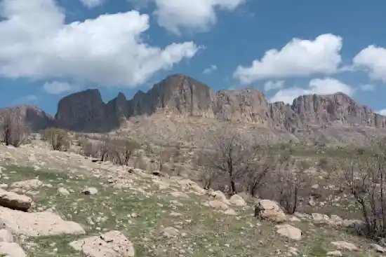 قله وره زرد