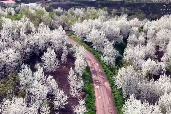 روستای کارندچال