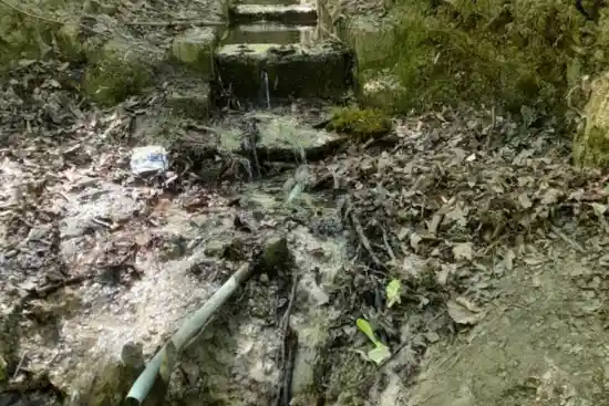 چشمه دارابکلا