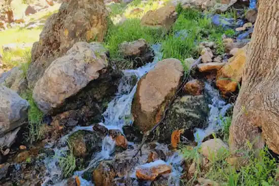 چشمه کنه‌ مز