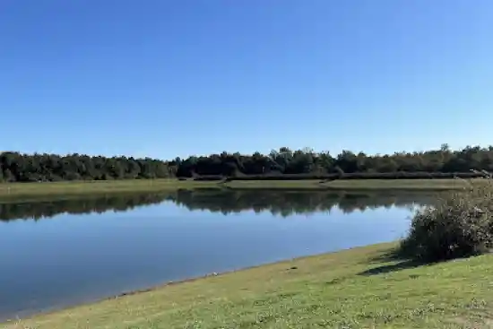 آبگیر تاشکوه