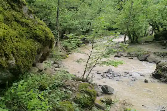 رودخانه اسب ریسه