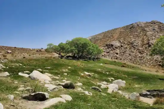 دره نازی سخوید