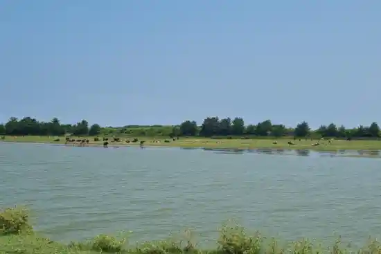 پارک ملی بوجاق