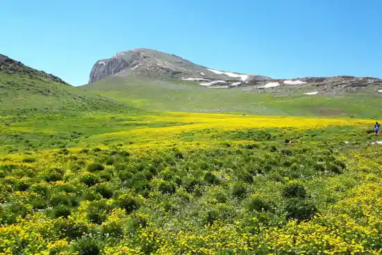 دشت لپاسر
