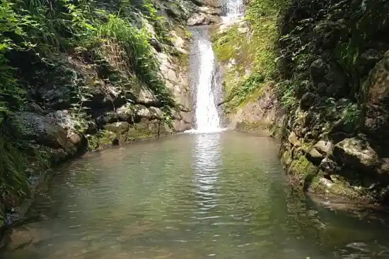 حوضچه زرین گل