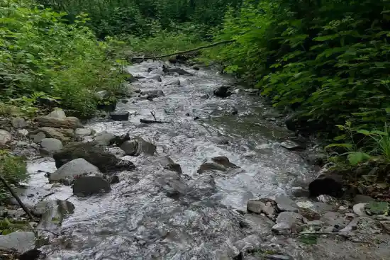 دره چاشت خوران