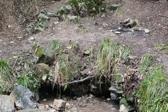 چشمه دیوانه کرنگ کفتر