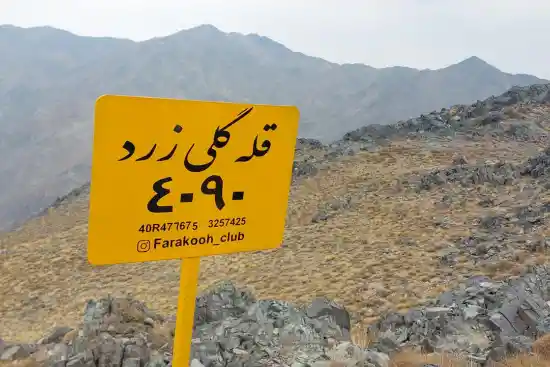 قله گلی زرد