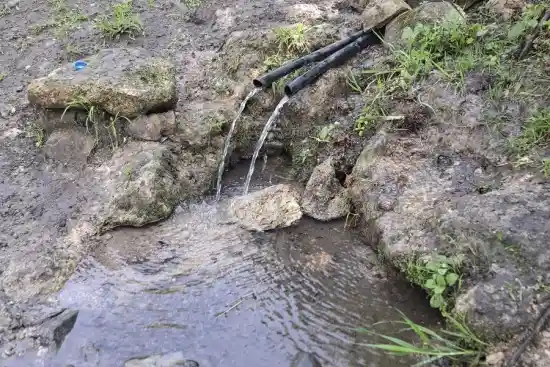 چشمه خرس مملو