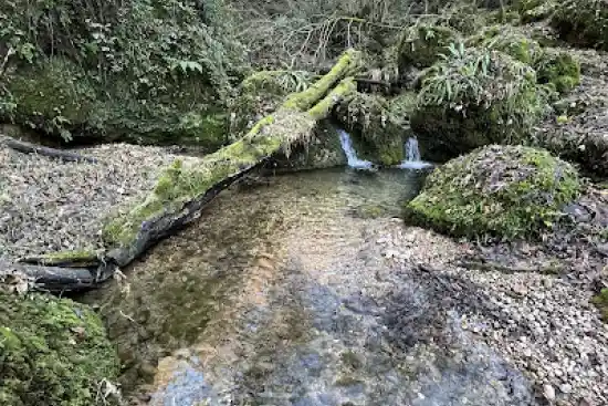 پارک جنگلی اندارگلی