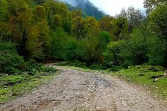 پارک جنگلی سرابو