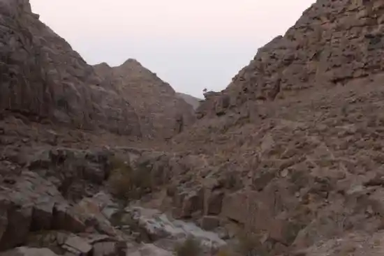 دره آلبالو
