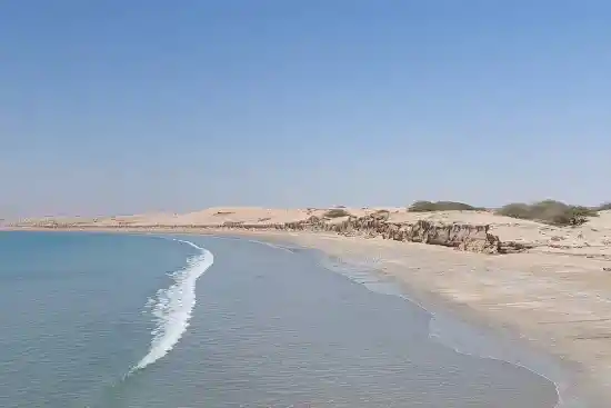 ساحل آرام ونک