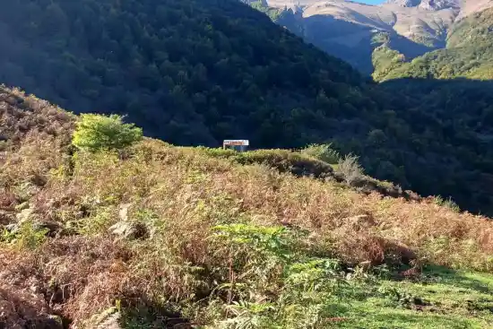 ییلاق شیرین دشت