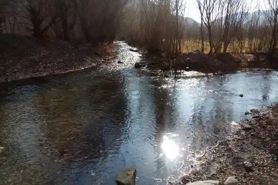 دوآبی فریزی