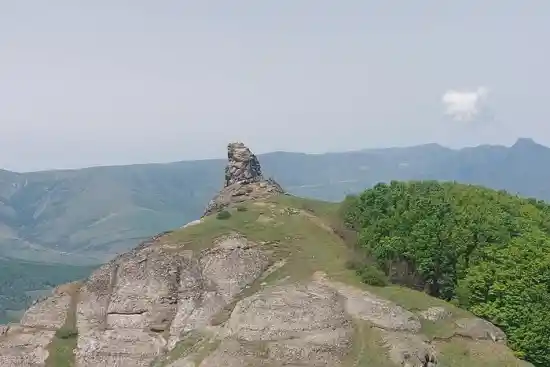 ستون داشی