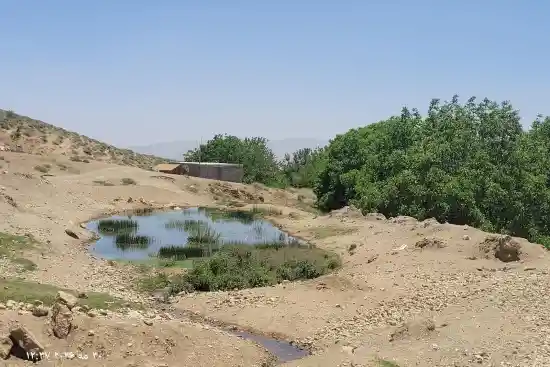 چشمه علی