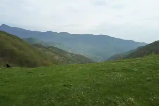 دشت مومبی