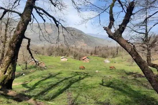 ییلاق ملاهونی