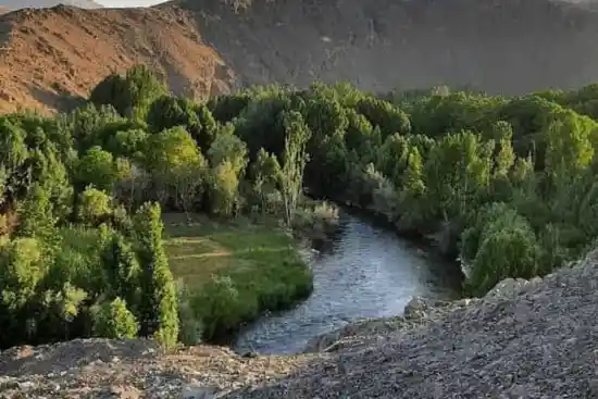 چم علیشاه