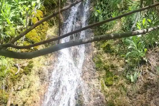 آبشار خوش میوه
