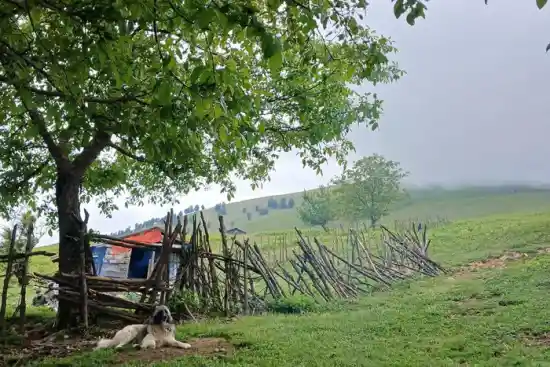 ییلاق مته خونی-1