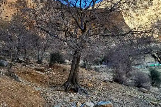 تفرجگاه بقعه سبزپوشان-1