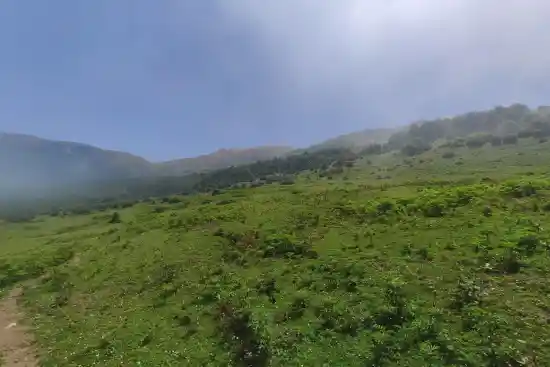 دشت راشه سر-1