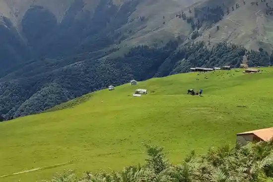 ییلاق گردسوئه-1