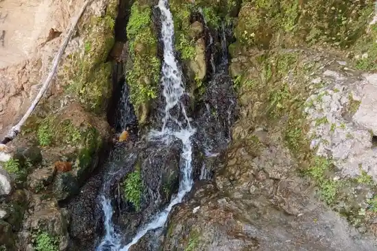 چشمه شادکام