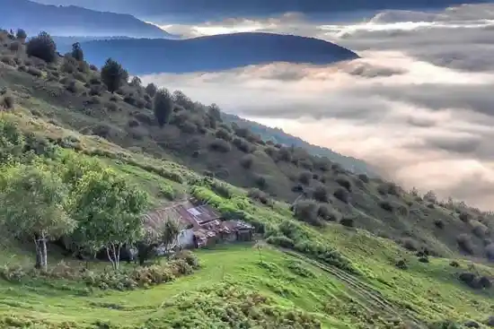 خصیل دشت