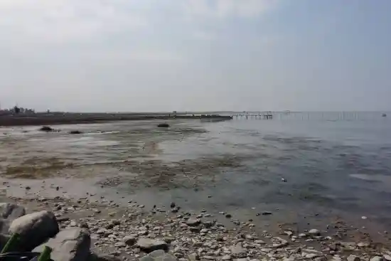 ساحل نوکنده