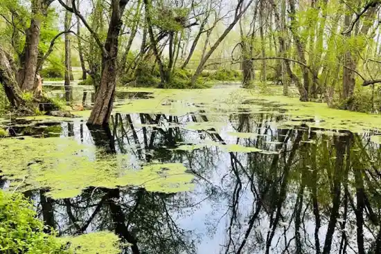 آببندان لپوی زاغمرز