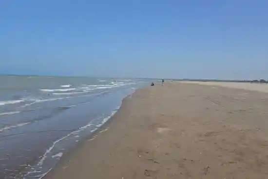ساحل کیاشهر