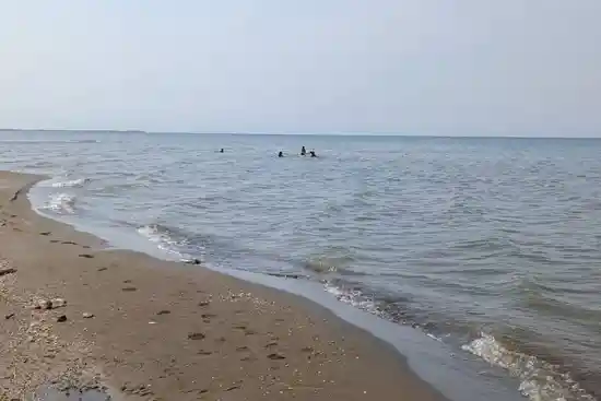 ساحل چپرپرد