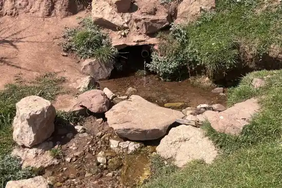 قرمز چشمه