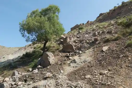 چشمه اوشک