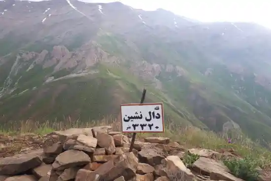 قله دال نشین