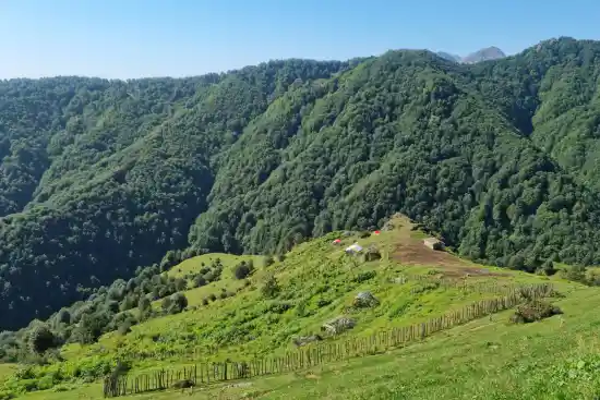 حور به لمیر