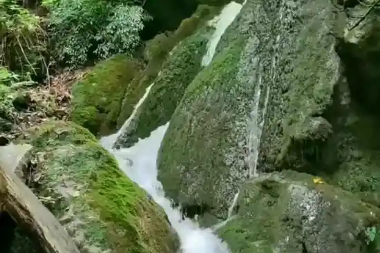 آبشار یارعلی