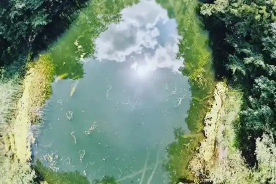 دریاچه فراخین