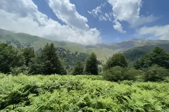 ییلاق ماسال