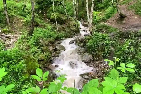 ییلاق گیلوان